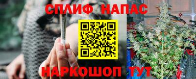 ALPHA PVP Малгобек