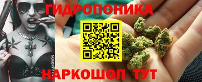 ALPHA PVP Малгобек
