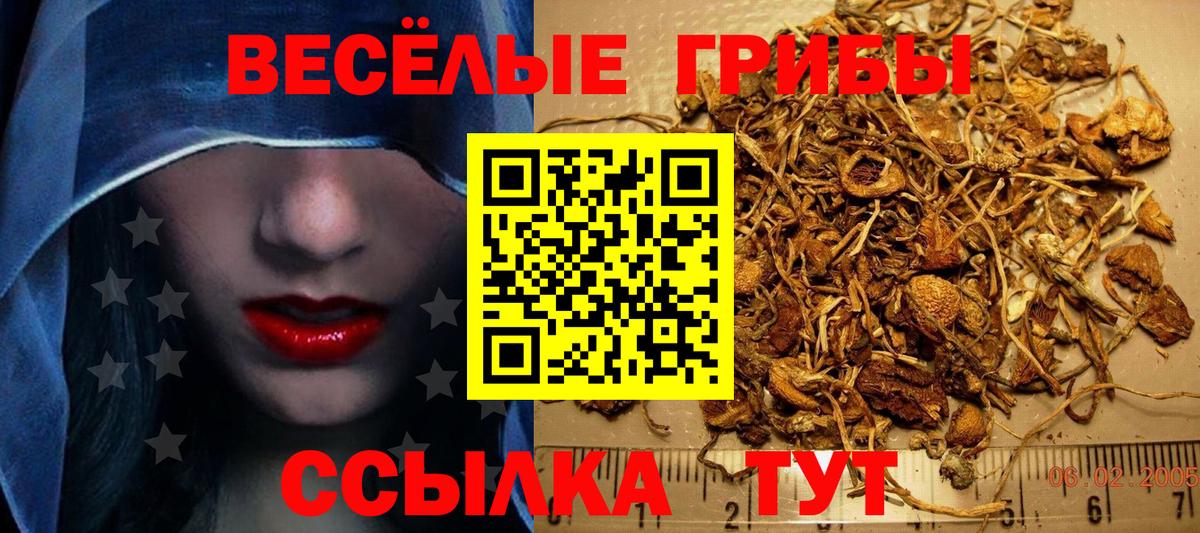 Галлюциногенные грибы Psilocybe Дзержинский