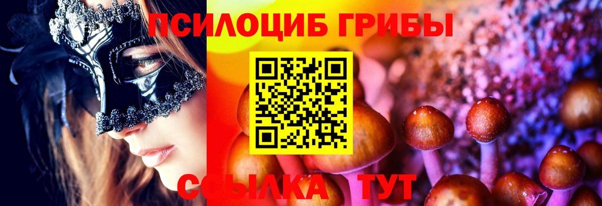 Галлюциногенные грибы GOLDEN TEACHER  Вход с VPN  Галлюциногенные грибы GOLDEN TEACHER  Дзержинский 